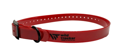 Collier chien de chasse divers coloris