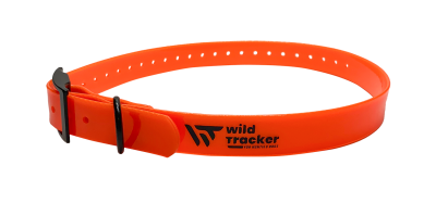 Collier chien de chasse divers coloris